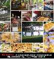 Foto 3 - Anncio 45-662269