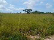 Foto 1 - Anncio 45-662308