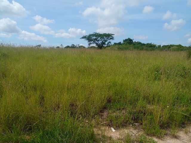Foto 1 - Venda terreno araruama morro grande 2000m2