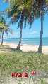 Foto 4 - Anncio 45-662398